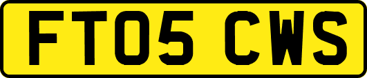 FT05CWS