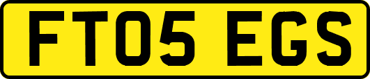 FT05EGS