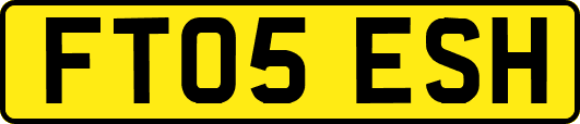FT05ESH