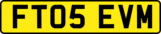 FT05EVM
