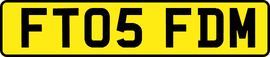FT05FDM