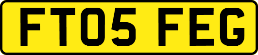 FT05FEG