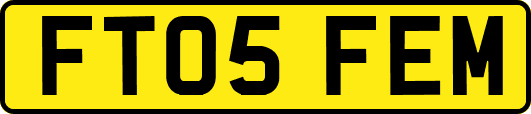 FT05FEM