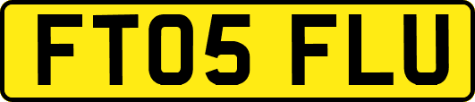 FT05FLU