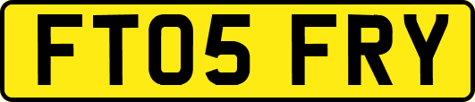 FT05FRY