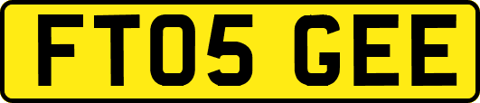 FT05GEE