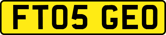 FT05GEO