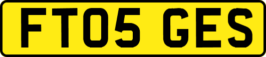 FT05GES