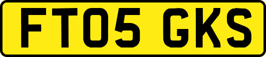 FT05GKS