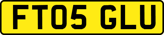 FT05GLU