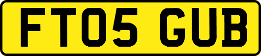 FT05GUB