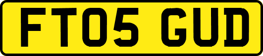 FT05GUD