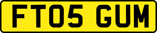 FT05GUM