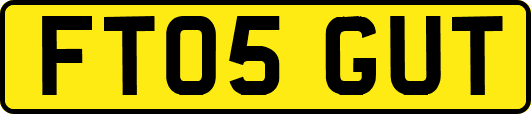 FT05GUT