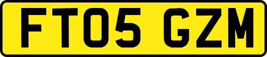 FT05GZM