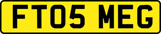 FT05MEG