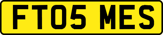 FT05MES
