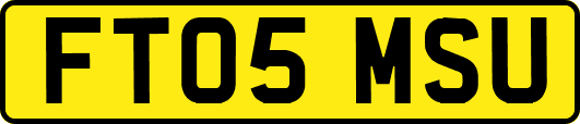 FT05MSU