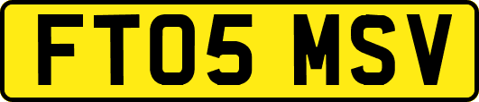 FT05MSV