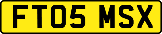 FT05MSX