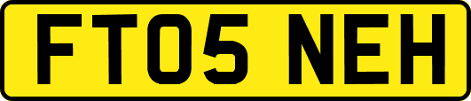 FT05NEH