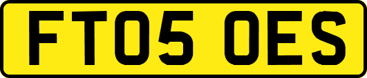 FT05OES
