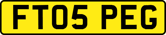 FT05PEG