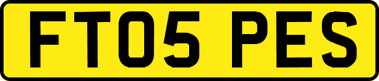 FT05PES