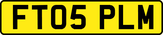 FT05PLM
