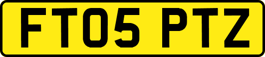 FT05PTZ