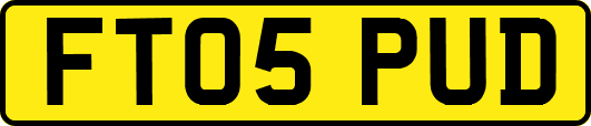 FT05PUD