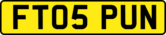 FT05PUN