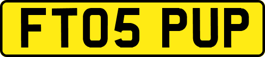 FT05PUP