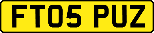 FT05PUZ