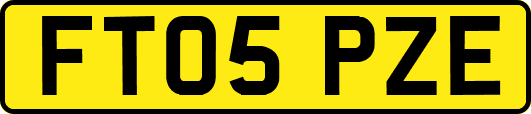 FT05PZE