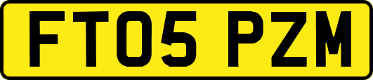 FT05PZM