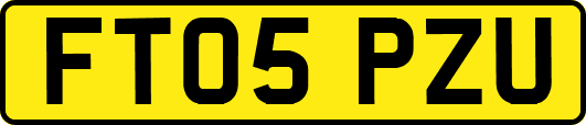FT05PZU