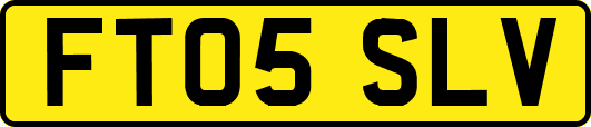 FT05SLV