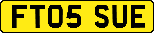 FT05SUE