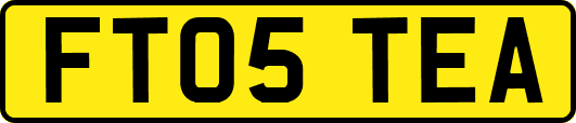 FT05TEA
