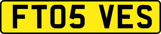 FT05VES
