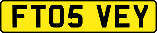 FT05VEY