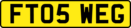 FT05WEG