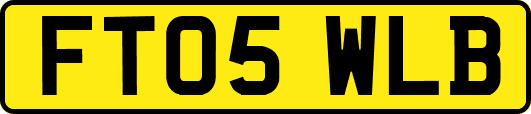 FT05WLB