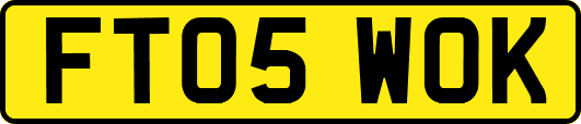 FT05WOK