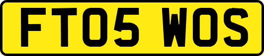 FT05WOS