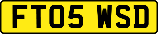 FT05WSD