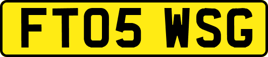FT05WSG