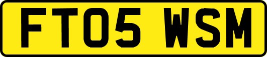 FT05WSM