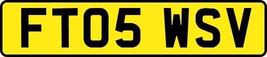 FT05WSV